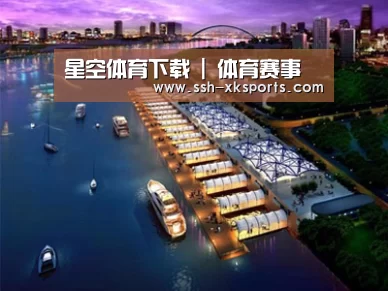 案例展示八