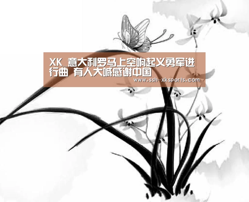 星空体育APP